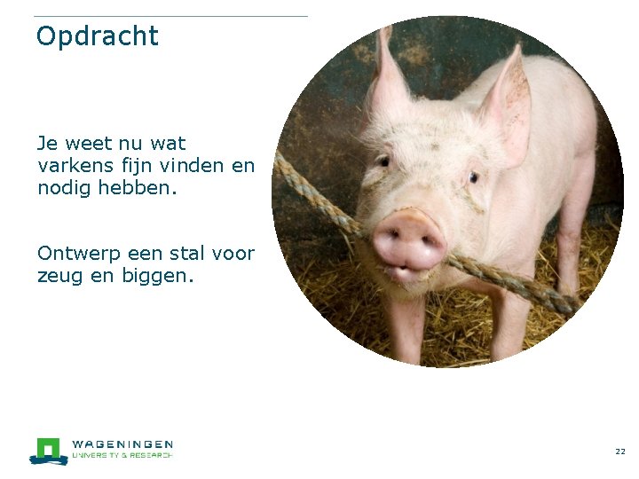 Opdracht Je weet nu wat varkens fijn vinden en nodig hebben. Ontwerp een stal