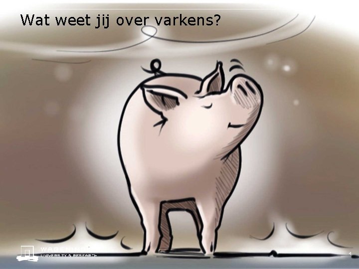 Wat weet jij over varkens? 4 
