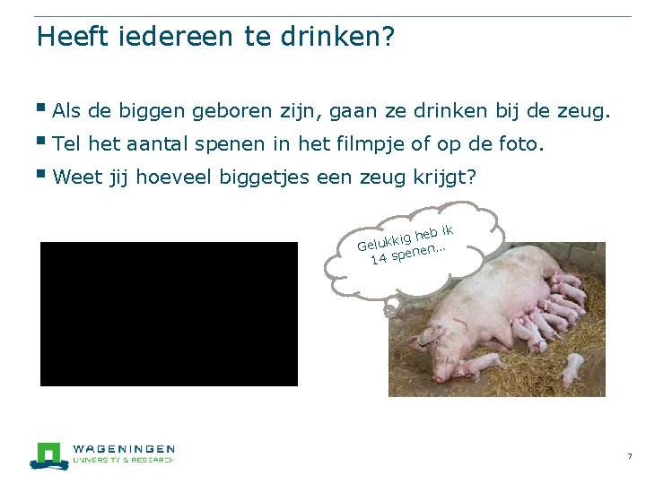 Heeft iedereen te drinken? § Als de biggen geboren zijn, gaan ze drinken bij