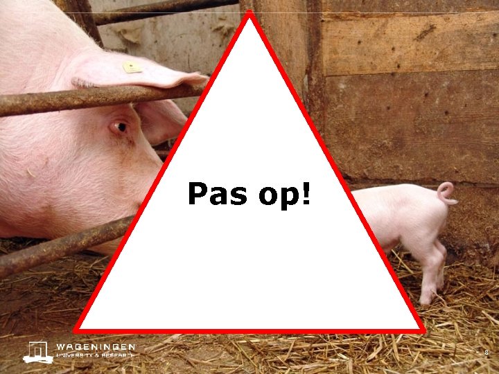 Pas op! 8 