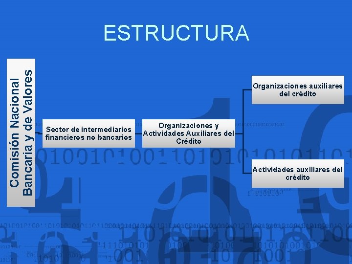 Comisión Nacional Bancaria y de Valores ESTRUCTURA Organizaciones auxiliares del crédito Sector de intermediarios