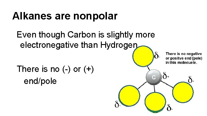 Alkanes are nonpolar Even though Carbon is slightly more electronegative than Hydrogen… There is