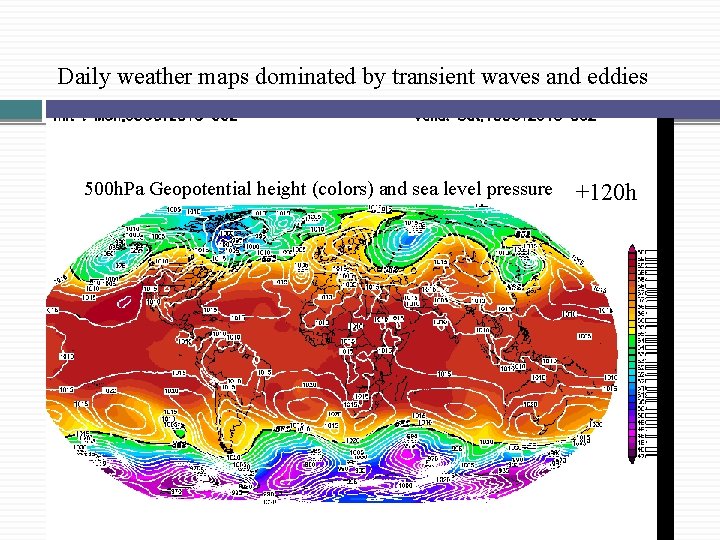 Daily weather maps dominated by transient waves and eddies 500 h. Pa Geopotential height