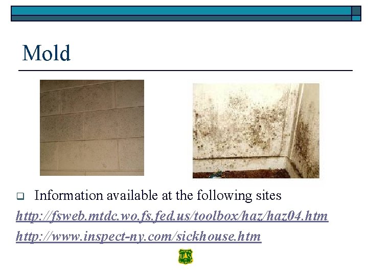 Mold Information available at the following sites http: //fsweb. mtdc. wo. fs. fed. us/toolbox/haz