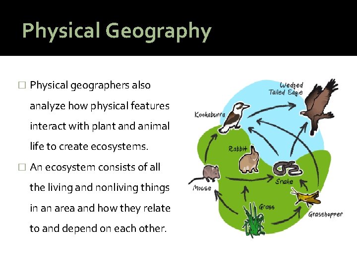 Physical Geography � Physical geographers also analyze how physical features interact with plant and