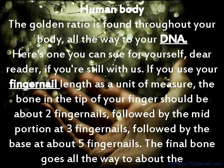 Human body The golden ratio is found throughout your body, all the way to