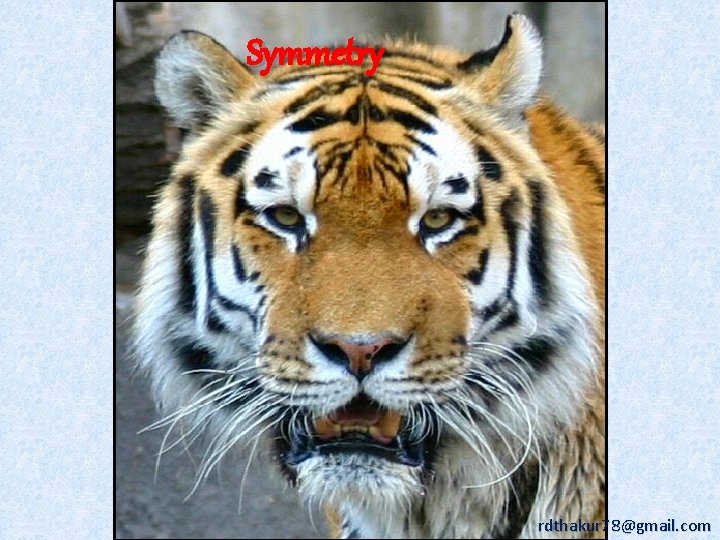 Symmetry rdthakur 78@gmail. com 