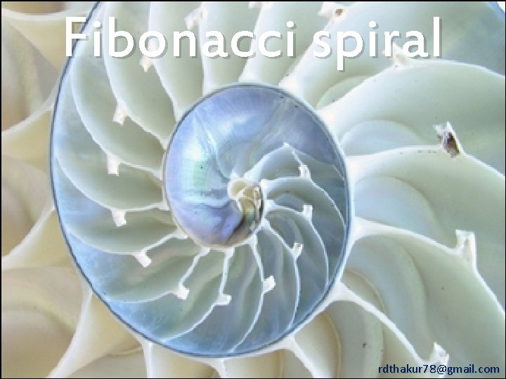 Fibonacci spiral rdthakur 78@gmail. com 