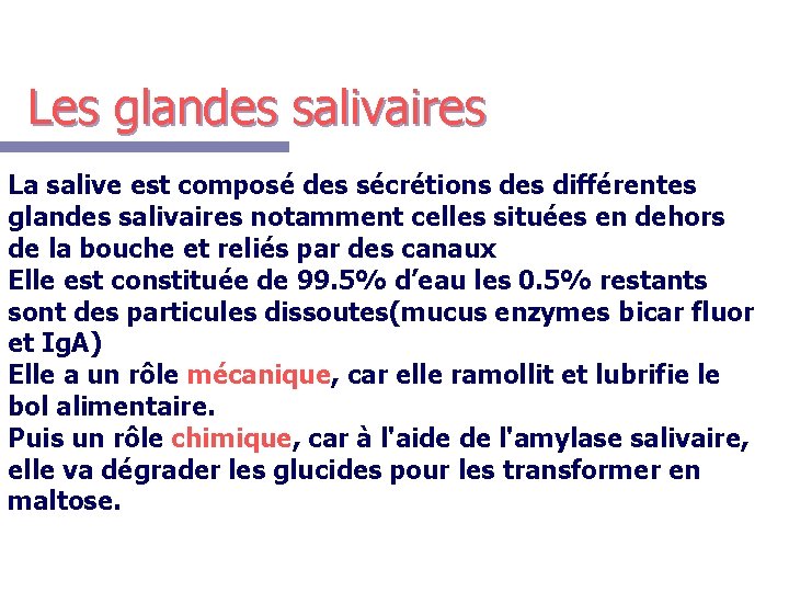 Les glandes salivaires La salive est composé des sécrétions des différentes glandes salivaires notamment