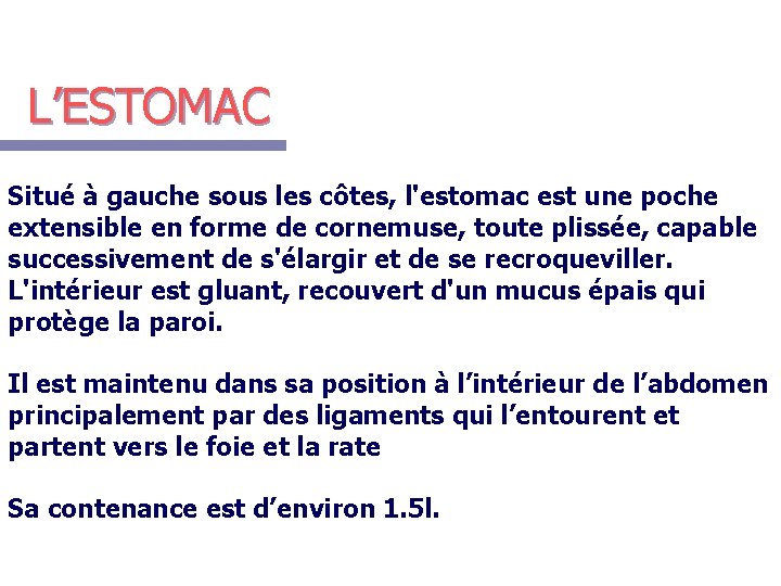 L’ESTOMAC Situé à gauche sous les côtes, l'estomac est une poche extensible en forme