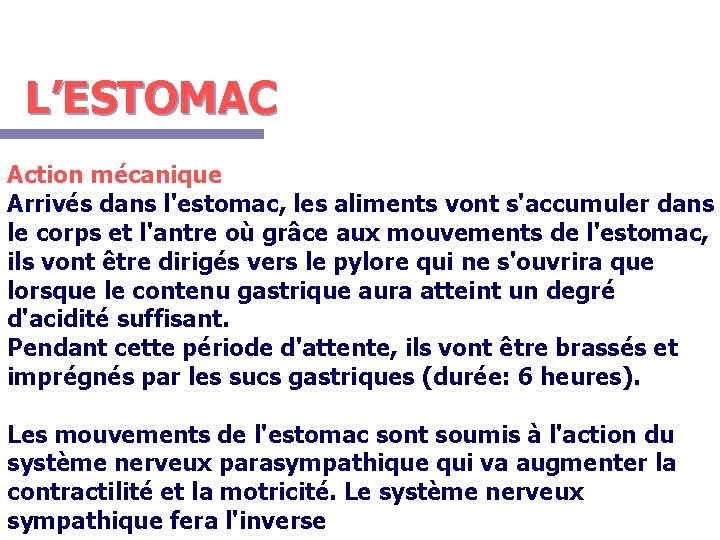 L’ESTOMAC Action mécanique Arrivés dans l'estomac, les aliments vont s'accumuler dans le corps et