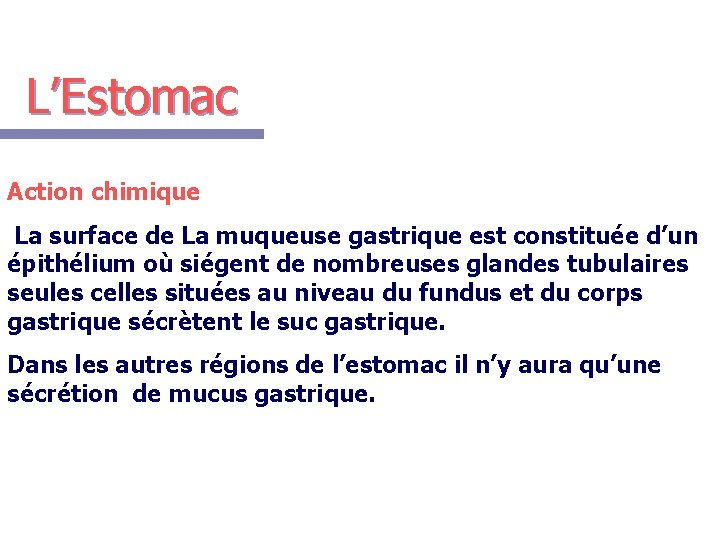 L’Estomac Action chimique La surface de La muqueuse gastrique est constituée d’un épithélium où