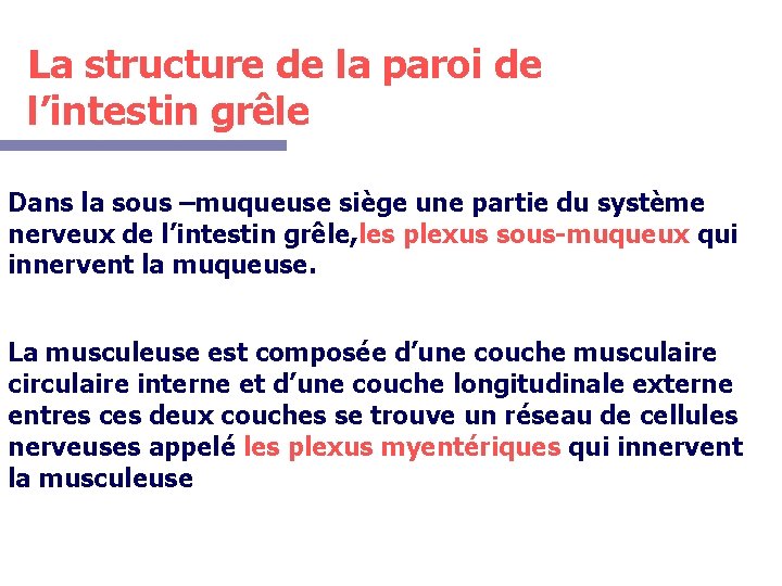 La structure de la paroi de l’intestin grêle Dans la sous –muqueuse siège une