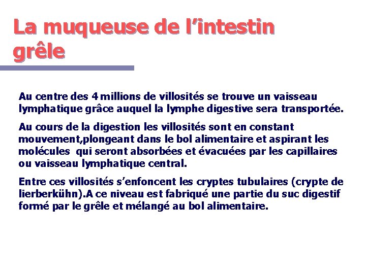 La muqueuse de l’intestin grêle Au centre des 4 millions de villosités se trouve