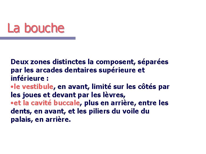 La bouche Deux zones distinctes la composent, séparées par les arcades dentaires supérieure et