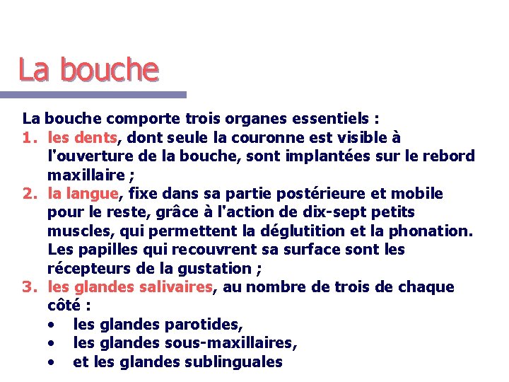 La bouche comporte trois organes essentiels : 1. les dents, dont seule la couronne