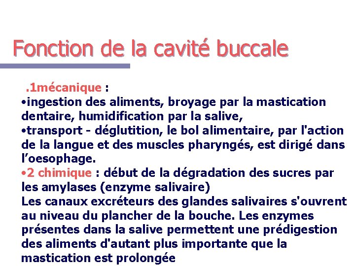 Fonction de la cavité buccale. 1 mécanique : • ingestion des aliments, broyage par