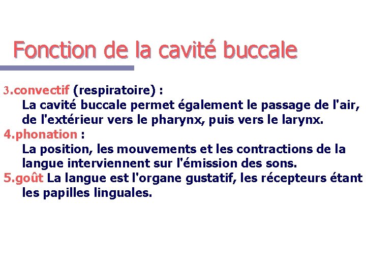 Fonction de la cavité buccale 3. convectif (respiratoire) : La cavité buccale permet également