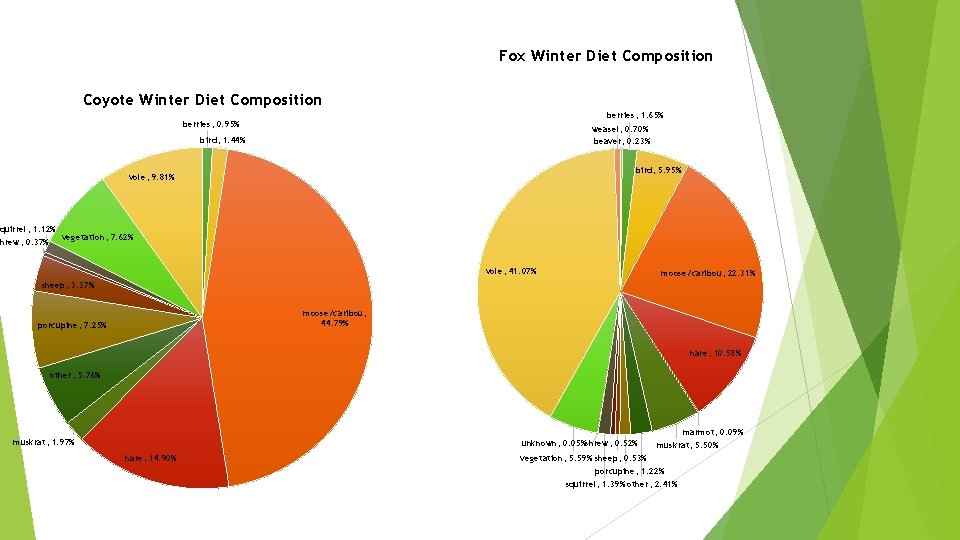 Fox Winter Diet Composition Coyote Winter Diet Composition berries; 1. 65% berries; 0. 95%