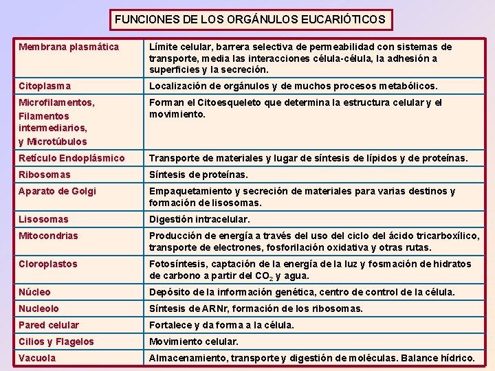 FUNCIONES DE LOS ORGÁNULOS EUCARIÓTICOS Membrana plasmática Límite celular, barrera selectiva de permeabilidad con