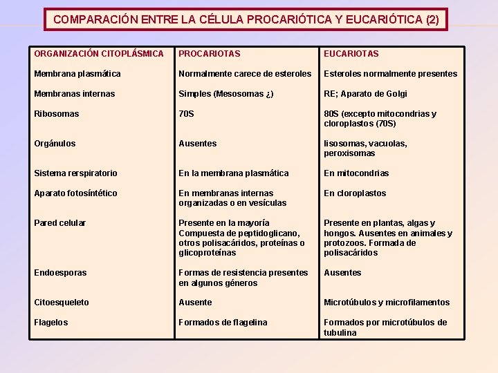 COMPARACIÓN ENTRE LA CÉLULA PROCARIÓTICA Y EUCARIÓTICA (2) ORGANIZACIÓN CITOPLÁSMICA PROCARIOTAS EUCARIOTAS Membrana plasmática