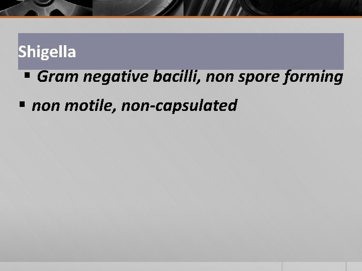 Shigella § Gram negative bacilli, non spore forming § non motile, non-capsulated 