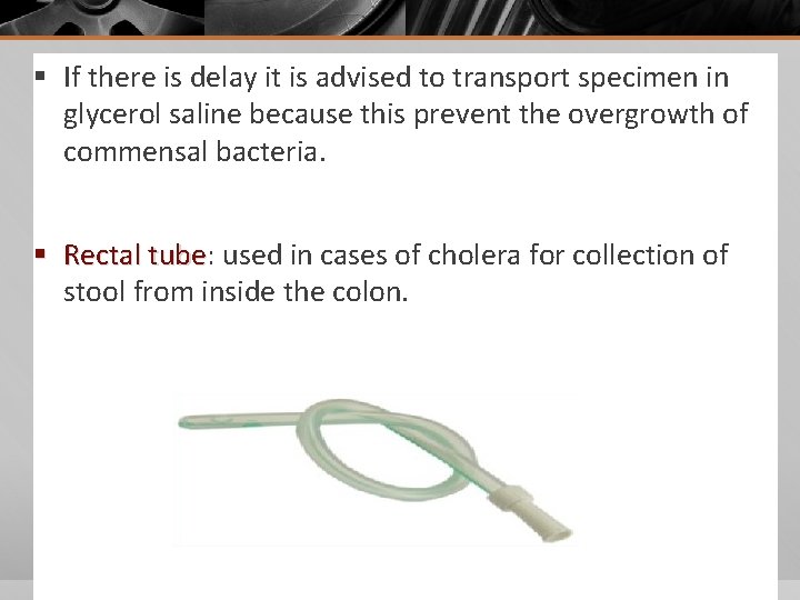 § If there is delay it is advised to transport specimen in glycerol saline