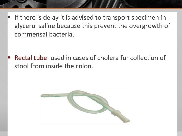 § If there is delay it is advised to transport specimen in glycerol saline § If there is delay it is advised to transport specimen in glycerol saline
