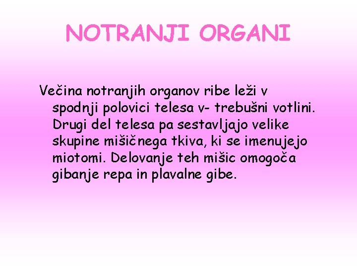 NOTRANJI ORGANI Večina notranjih organov ribe leži v spodnji polovici telesa v- trebušni votlini.