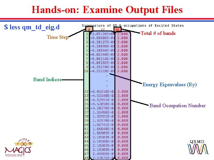 Hands-on: Examine Output Files $ less qm_td_eig. d Total # of bands Time Step