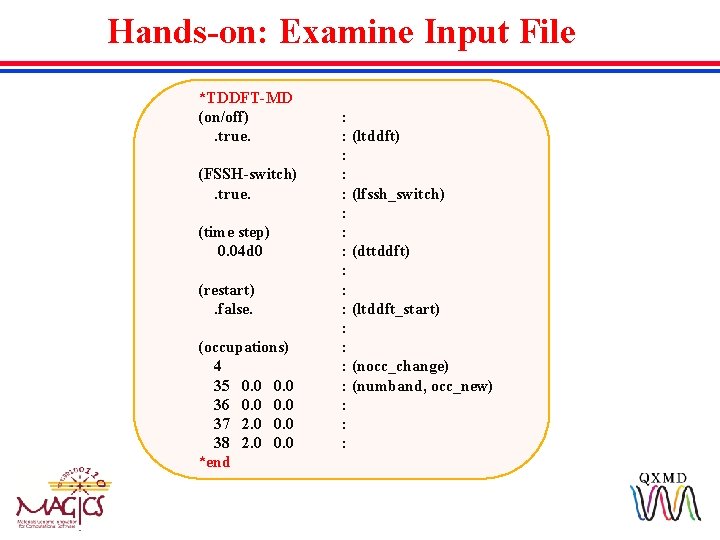 Hands-on: Examine Input File *TDDFT-MD (on/off) . true. (FSSH-switch) . true. (time step) 0.