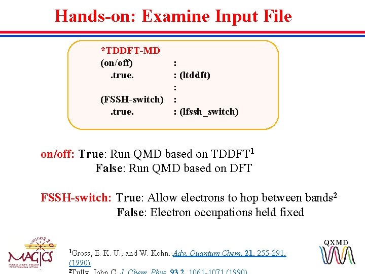Hands-on: Examine Input File *TDDFT-MD (on/off) : . true. : (ltddft) : (FSSH-switch) :