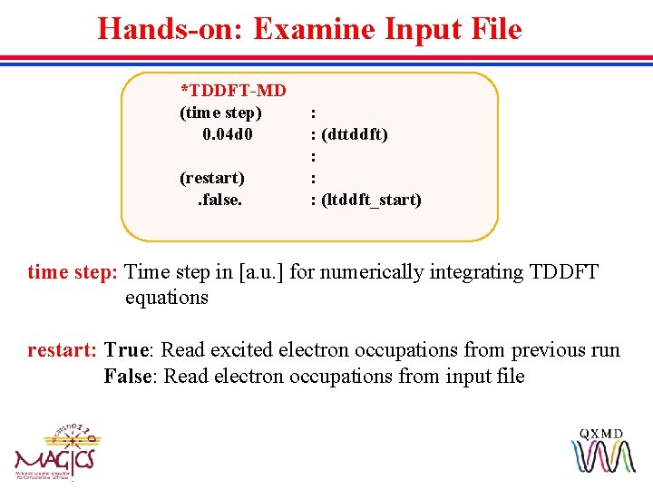 Hands-on: Examine Input File *TDDFT-MD (time step) 0. 04 d 0 : : (dttddft)
