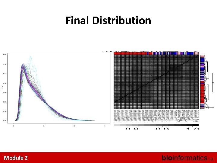 Final Distribution Module 2 bioinformatics. ca 