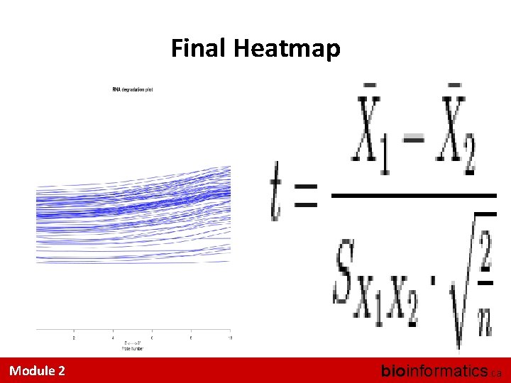 Final Heatmap Module 2 bioinformatics. ca 