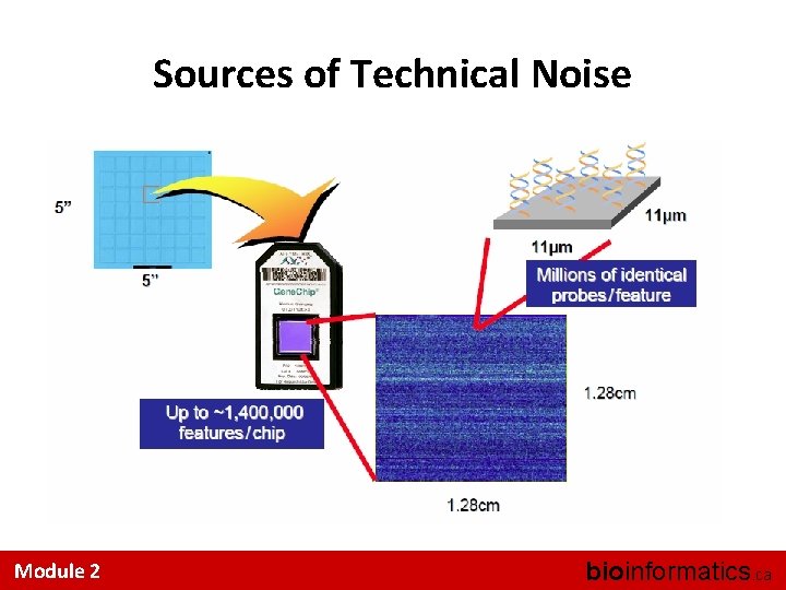 Sources of Technical Noise Where does technical noise come from? Module 2 bioinformatics. ca