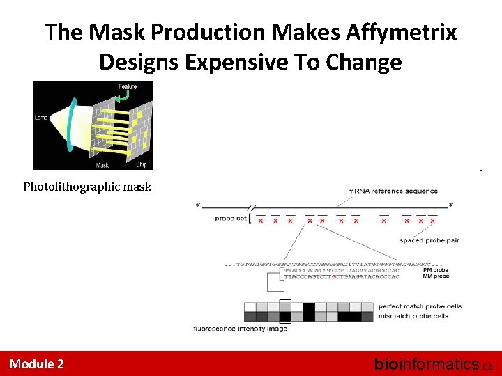 The Mask Production Makes Affymetrix Designs Expensive To Change Photolithographic mask Module 2 bioinformatics.