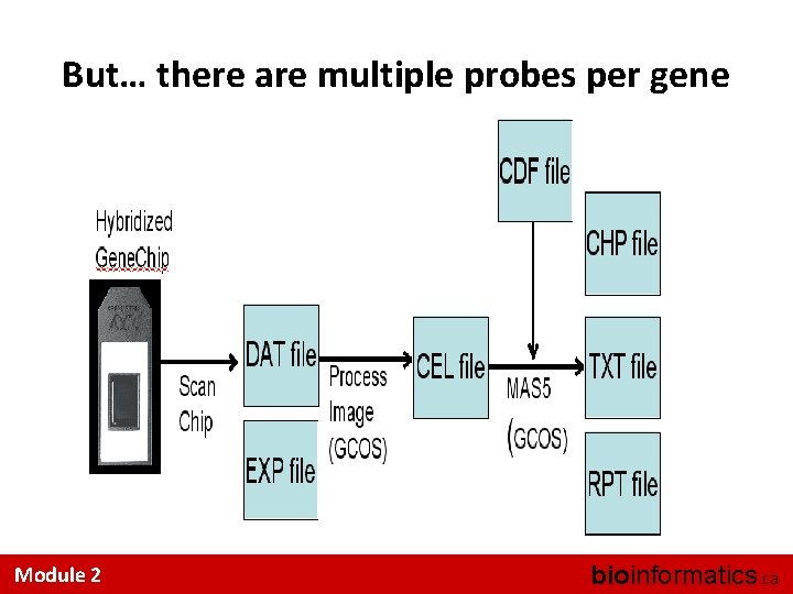 But… there are multiple probes per gene Module 2 bioinformatics. ca 