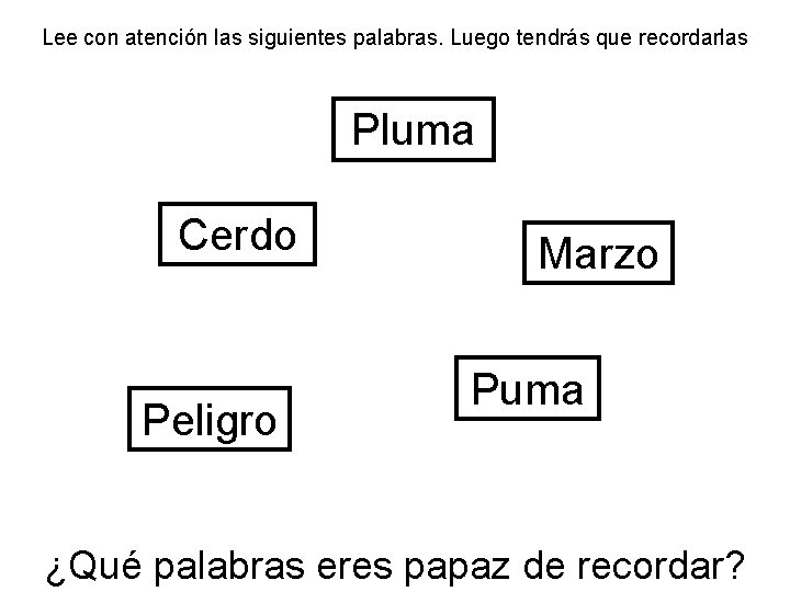 Lee con atención las siguientes palabras. Luego tendrás que recordarlas Pluma Cerdo Peligro Marzo