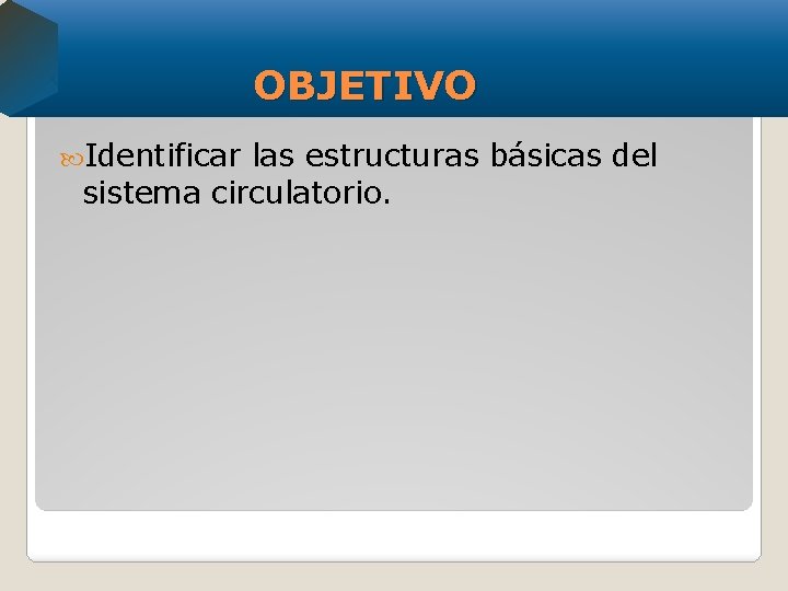 OBJETIVO Identificar las estructuras básicas del sistema circulatorio. 