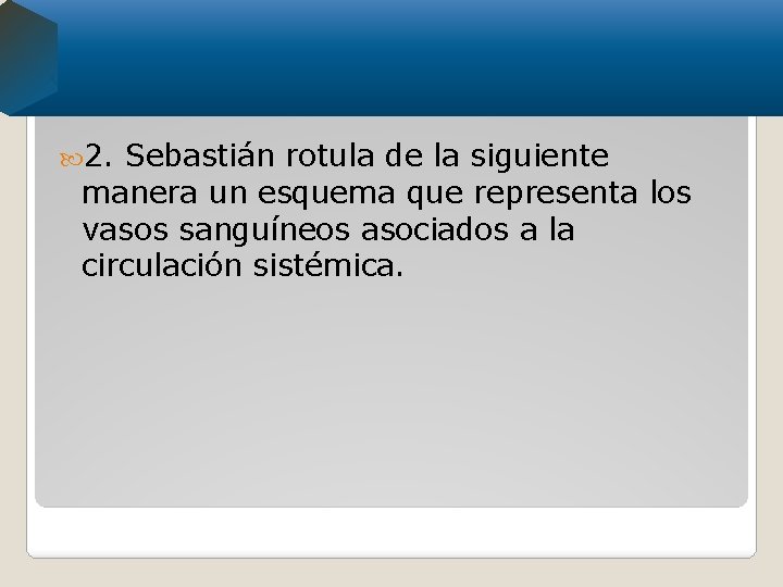  2. Sebastián rotula de la siguiente manera un esquema que representa los vasos