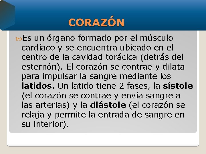 CORAZÓN Es un órgano formado por el músculo cardíaco y se encuentra ubicado en