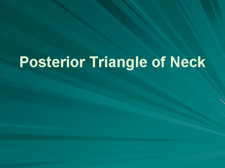 Posterior Triangle of Neck 