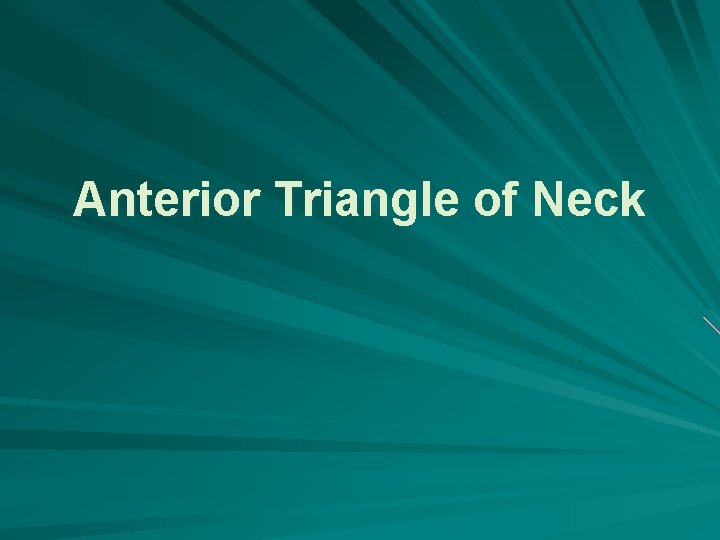 Anterior Triangle of Neck 