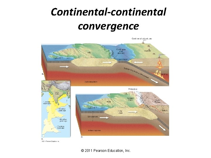 Continental-continental convergence © 2011 Pearson Education, Inc. 