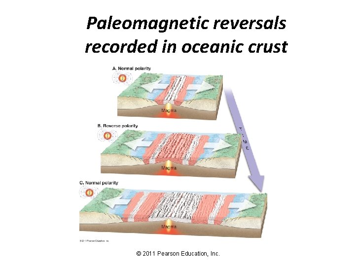 Paleomagnetic reversals recorded in oceanic crust © 2011 Pearson Education, Inc. 
