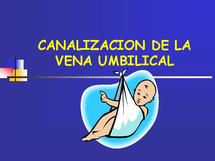 CANALIZACION DE LA VENA UMBILICAL 