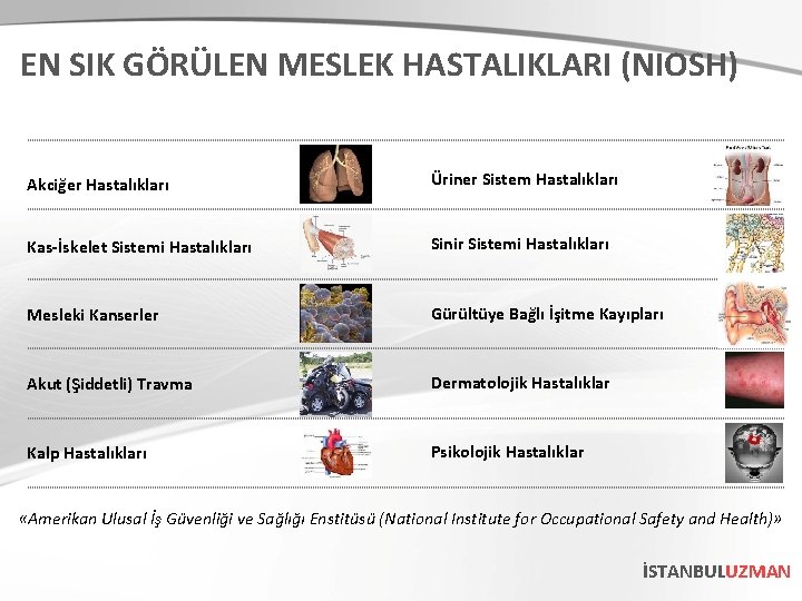 EN SIK GÖRÜLEN MESLEK HASTALIKLARI (NIOSH) Akciğer Hastalıkları Üriner Sistem Hastalıkları Kas-İskelet Sistemi Hastalıkları