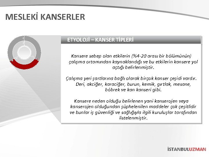 MESLEKİ KANSERLER ETYOLOJİ – KANSER TİPLERİ Kansere sebep olan etkilerin (%4 -20 arası bir