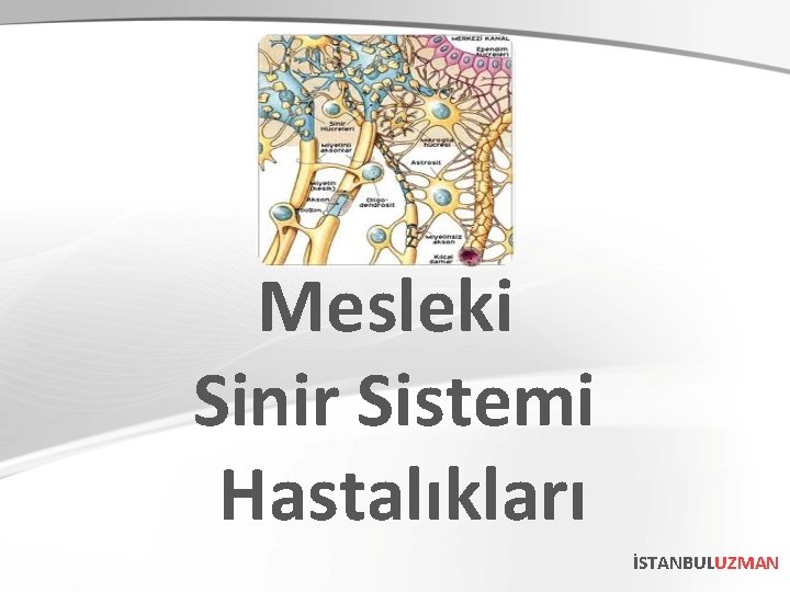 Mesleki Sinir Sistemi Hastalıkları İSTANBULUZMAN 